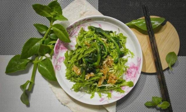 「冰花」心叶冰花可以吃,苦苣用冷,新鲜的味道也可以火!