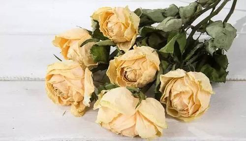  【最简单】干花制作教程：把七夕收到的鲜花美丽定格，做个干花漂流瓶