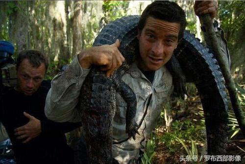 直击“食物链顶端的男人”贝尔最罕见的照片,曾破世界纪录