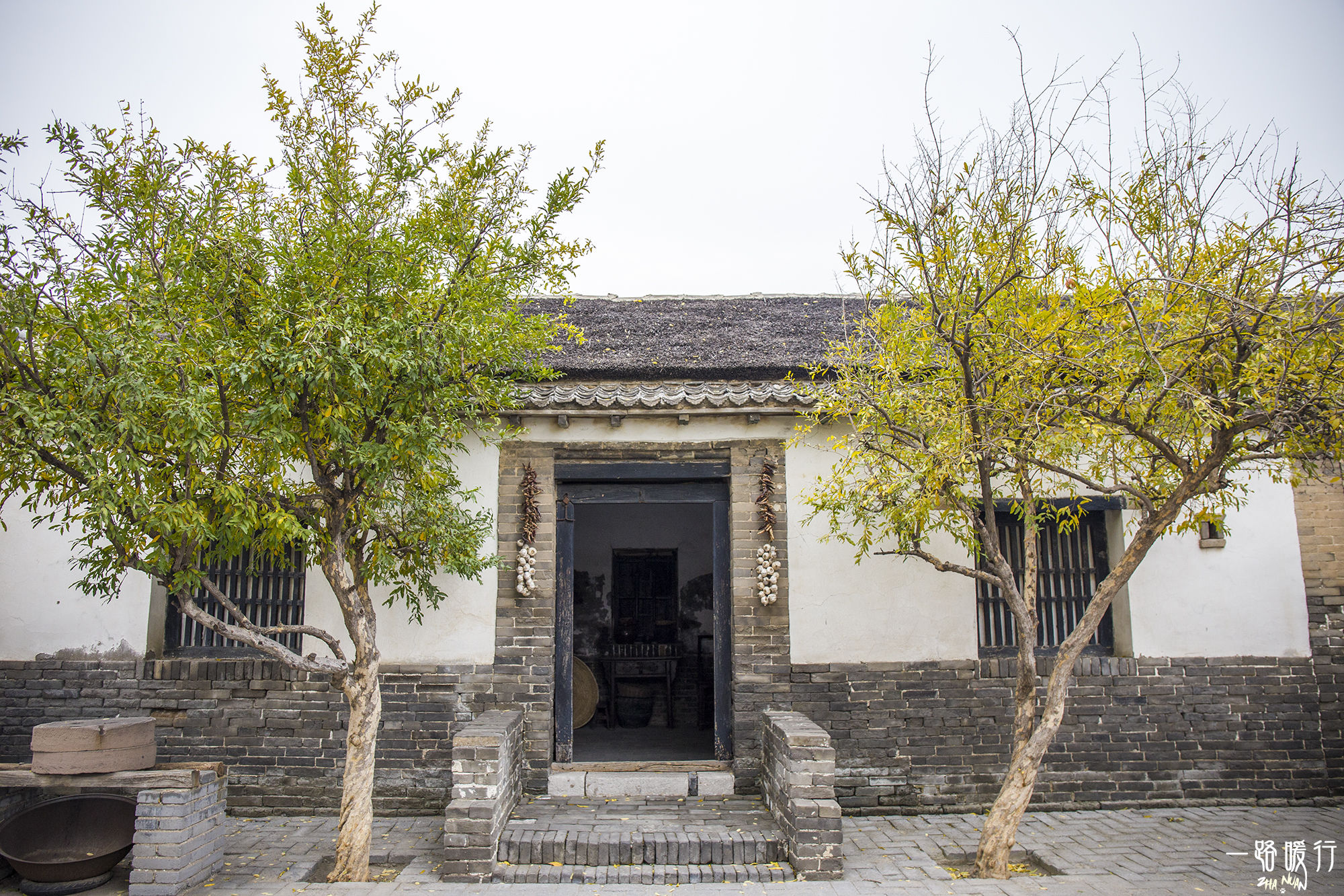 东营丨走过沧海桑田，终是在芦花飞雪的秋日遇见你