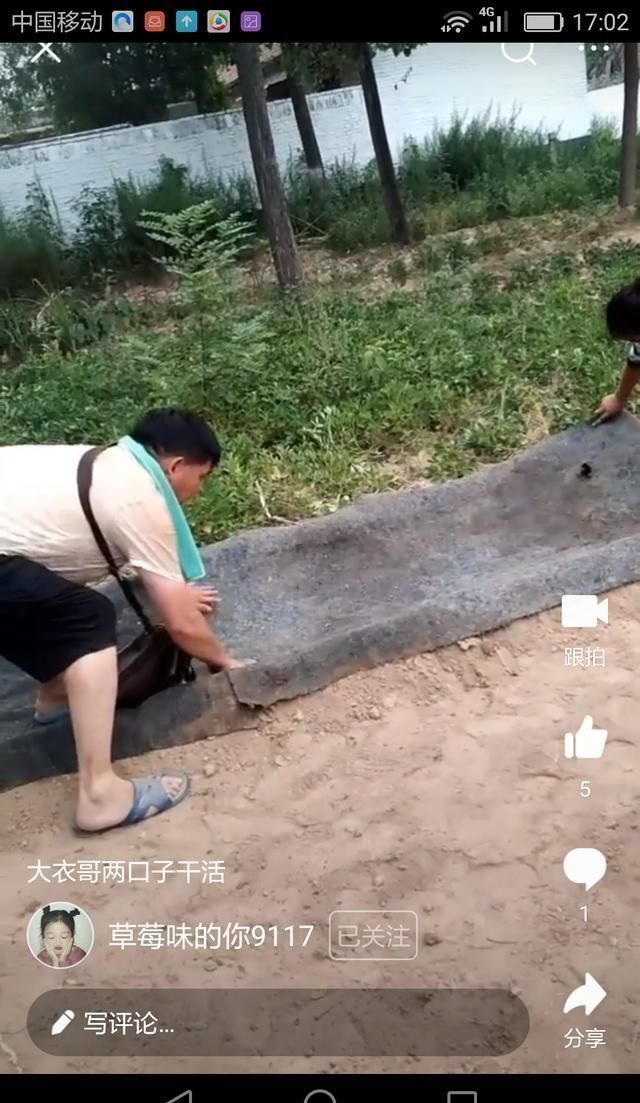 朱之文种萝卜：视频大衣哥就是攫取财富，朱楼村农民啥也不用干了