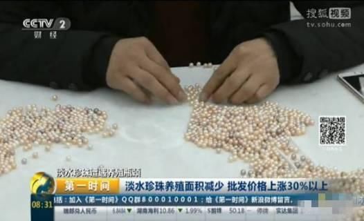 《金粉世家》重播!当年的董洁和刘亦菲,谁是你心目中的女神?