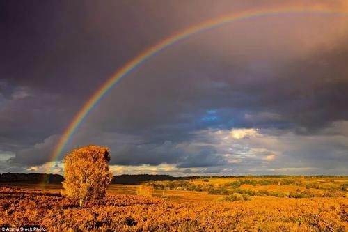 欧洲的秋天，真的不是童话！