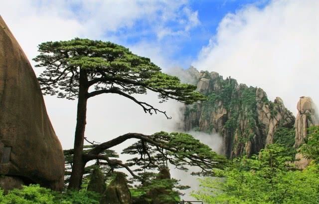 南迦巴瓦■网友评出来我国最美的八大名山,爬过五座算不错,全去过就厉害了