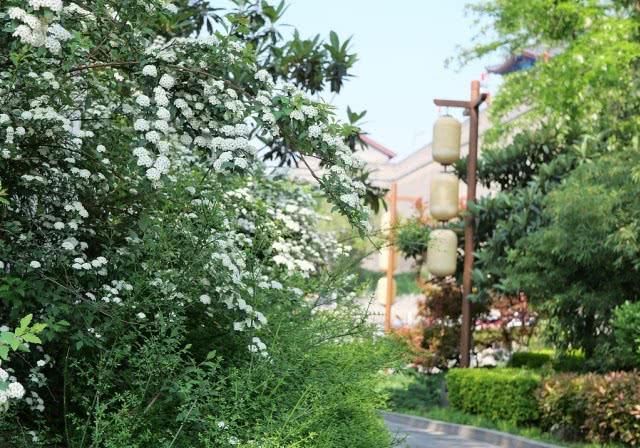  「西安」西安环城公园，进入是自然，转入是历史