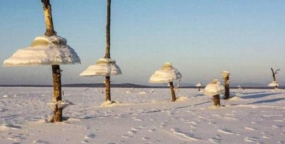 俄罗斯干干净净的水库，一夜之间突然出现“冰蘑菇”？