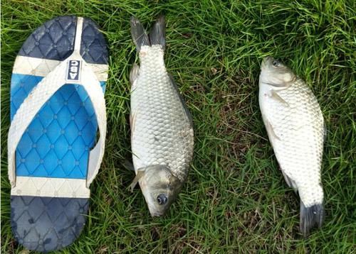  『参照物』有了鱼获，钓鱼人都用哪些参照物？哪个钓友没干过？