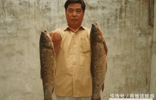 为什么黄河泥沙那么多，鱼还又大又肥？网友一句话阐明道理