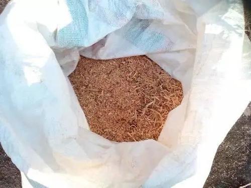  「制作堆肥」技巧| 生活中免费的堆肥材料，自制养花肥料真的很简单！