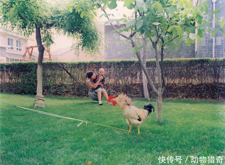  「农民」直击：他们在别墅里享受“隐密”的高质生活，琐事由周