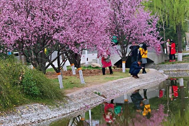 三月春暖花开,又到了寻花问柳的季节!