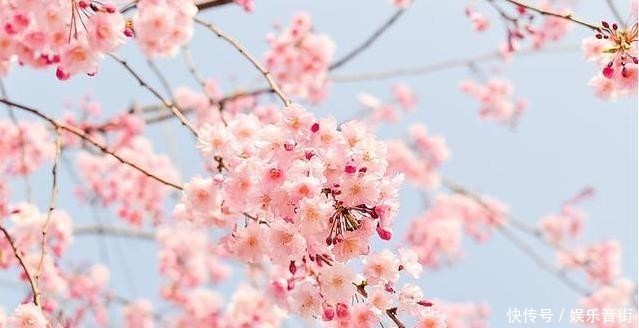 如何用诗句形容四季之美?