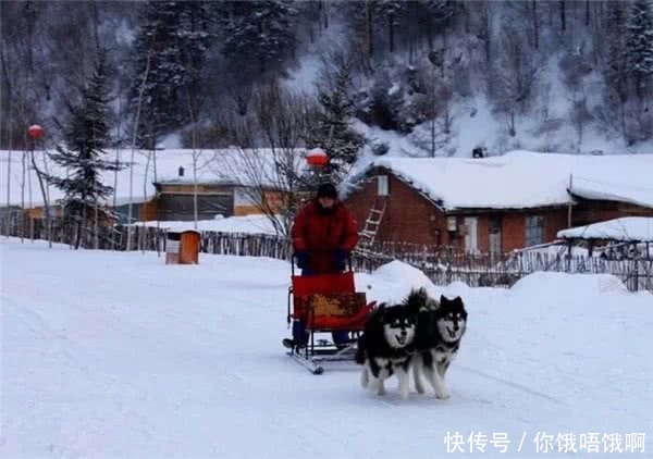 雪乡是“真白”还是“洗白”？游客纷纷晒出照片，南方人坐不住了