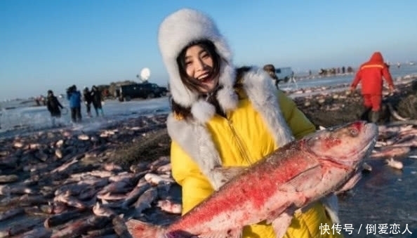把人工饲养鱼放到湖里,当成野生鱼在景区卖,查干湖的鱼越捞越多