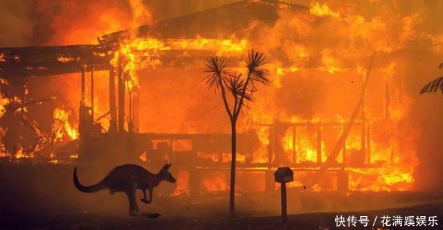 澳大利亚大火规模