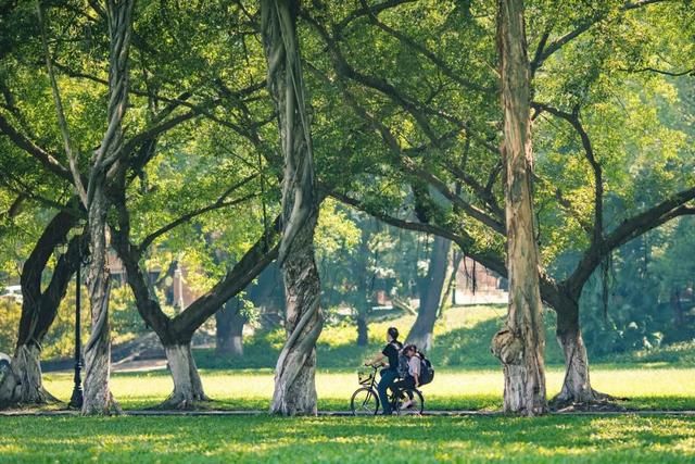 春天,中国最美10座大学,多想回去谈一场恋爱