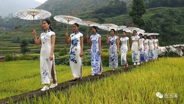 易门绿汁镇首届稻田开鱼节 带你找回儿时快乐！