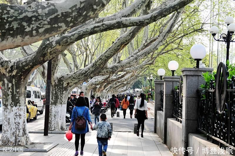  南京市■为什么江苏会被要求整改对省会南京不够重视的问题