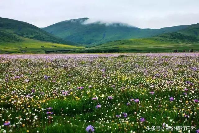 国庆四川游最强攻略,几乎囊括了四川全部美景,赏到你不想离开