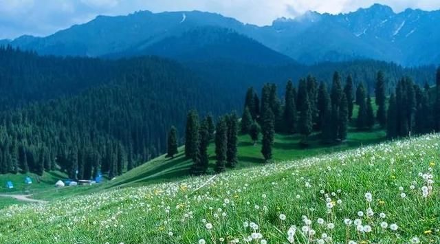 一定有一个地方,是你的心之所向