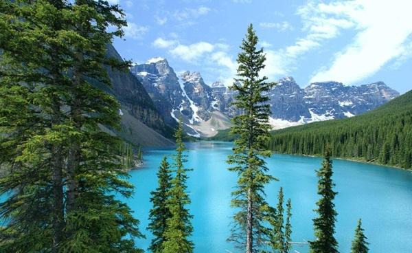 世界上最“要命”河流，水温高达100度，无数动物丧命于此