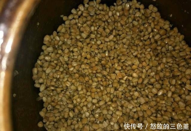  野生大鲤鱼：钓友野钓连竿上大鲤鱼居然还不满意？这位钓友到底是怎么了？