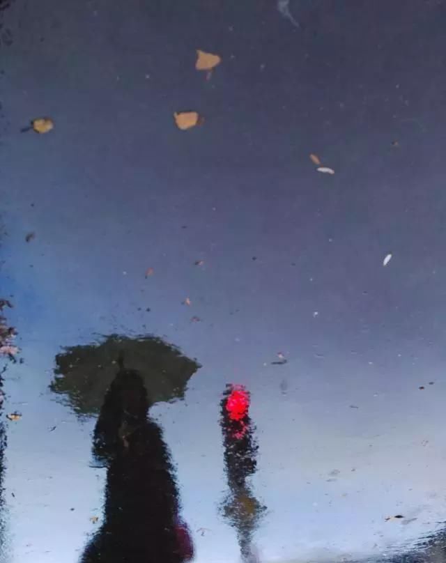 「机友讲堂」玩转手机摄影技巧——倒影拍摄