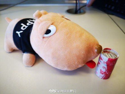  「兑换」鼠年纪念币开始兑换，你是出于什么原因想要鼠年纪念币