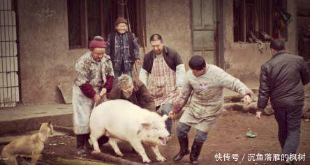  「猪肉」穆斯林为什么不吃猪肉 原来是在中东形成的