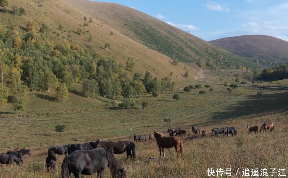 北京向北200公里，这片森林就是养生胜地，适合自驾出行