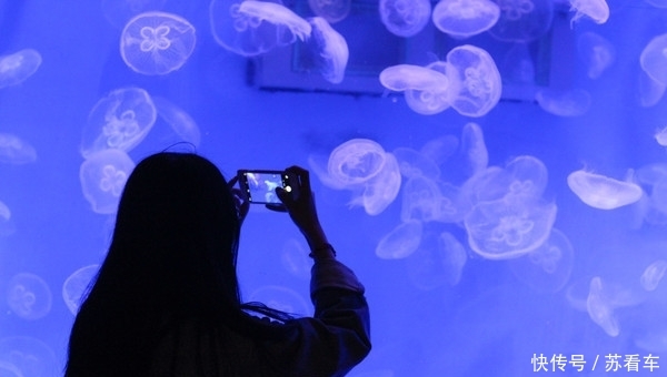 中国第一条海底观光隧道,虽然仅有118米,门票却达到110元