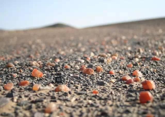 新疆人捡石头的最美季节又到了，教你在16个不同的地方捡石头！有