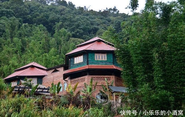 南糯山下来的摩托,像金钱豹,一眨眼,就到了眼前,再眨眼不见了