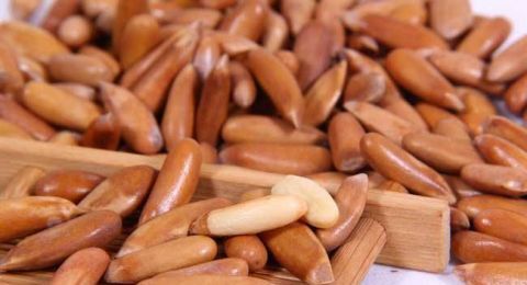  农民|收购价居高不下，如今涨到50元一斤，仍供不应求，农民冒生