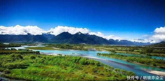  「银杏树」这十大长寿树王：棵棵大有来头，第一名比中国历史还