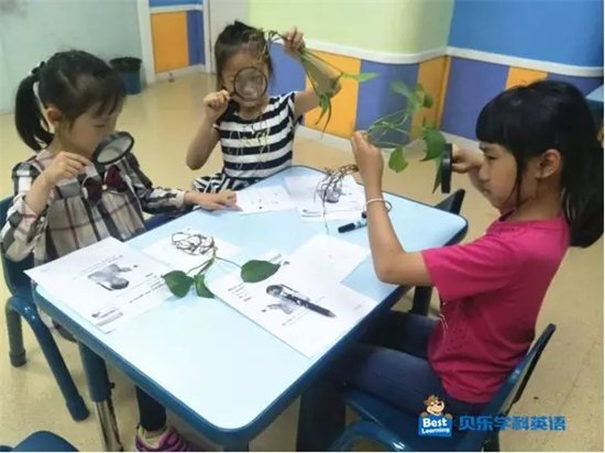 学科英语,如何改变中国孩子的英语教育?