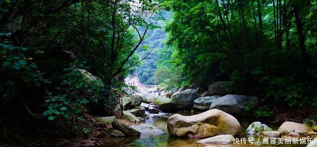 河南又一避暑胜地人少景美，高速免费！门票仅55元