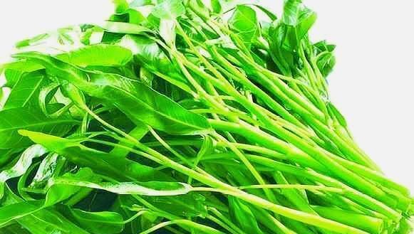  吃不完|阳台种这几样菜，天天有菜摘，吃都吃不完！