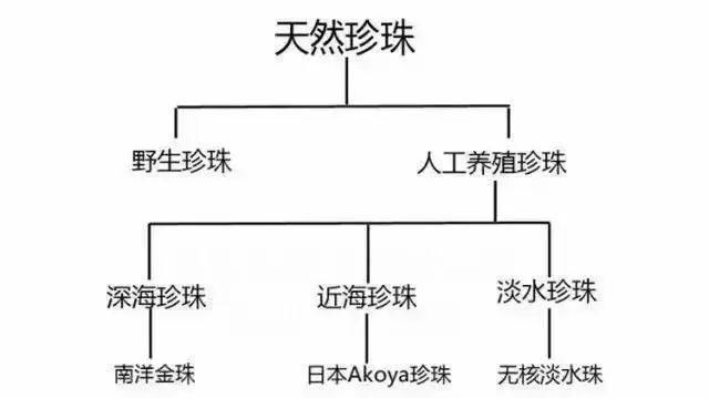  「人工养殖珍珠」珍珠的种类有哪几种？