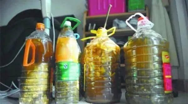  【干净的塑料】发现了一种“养花神器”——塑料瓶