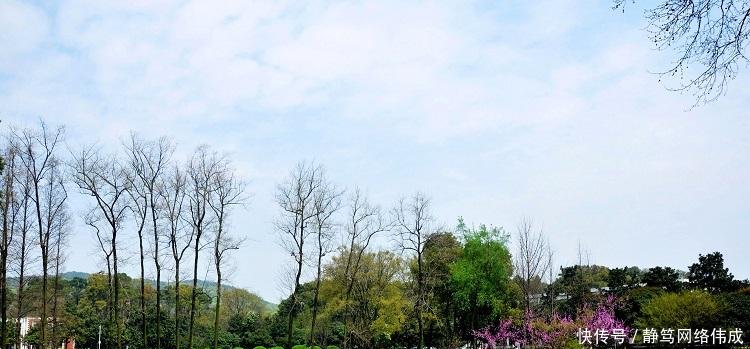 湖北一高速公路率先取消过路费, 高速免费时代或将来临