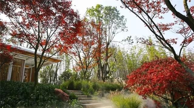 超实用 | 景观植物设计方法(值得收藏)