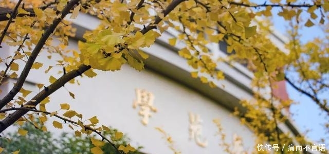 开学了，去青岛最美大学去逛一逛吧，个个堪比5A级景区