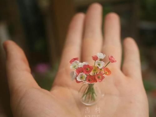 #喝茶#中国最小的院子,养花喝茶一辈子,人生岂不乐哉!