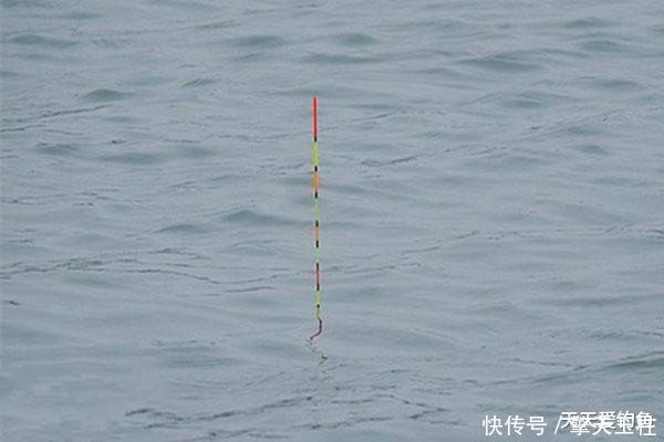  『支撑力』调漂之道在于找底，如何判断是否到底？是一饵到底，还是双饵到底