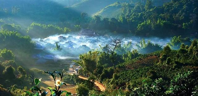 勐海味是什么味？走进勐海茶区，感受普洱茶魅力