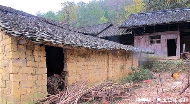 2019农村闲置房回收政策，这几类房屋将会被收回