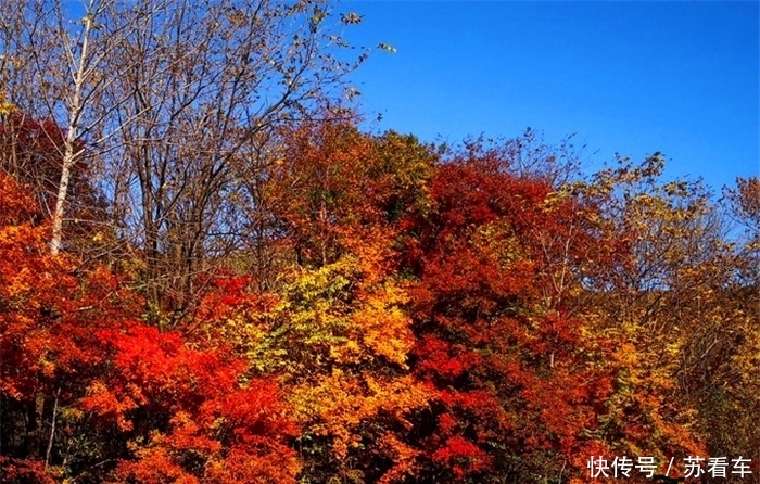 长白山最美的山谷，秋天红叶满天，保持着原始质朴的风貌