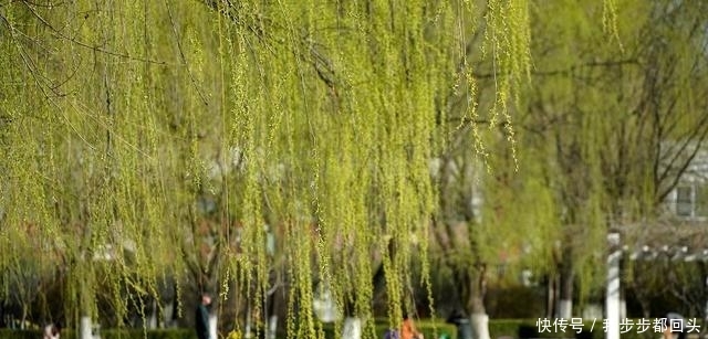  [春风]三月春风暖人间 踏青赏景正当时