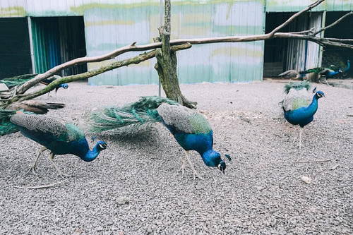  #gdp#江西省“发展最猛”的城市，GDP赶超省会南昌，未来的经济